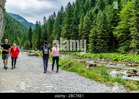 Persone che camminano nella valle di Kościeliska nel Parco Nazionale del Monte Tatra, vicino Zakopane, Polonia. Luglio 2017. Foto Stock