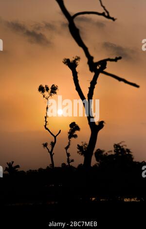 Tramonto sulla Batiaghata, Khulna, Bangladesh. Foto Stock