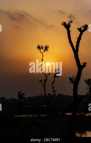 Tramonto sulla Batiaghata, Khulna, Bangladesh. Foto Stock