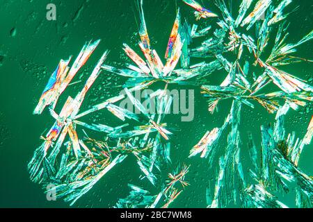 Cristalli di acido acetilsalicilico in luce polarizzata sotto il microskope 100x Foto Stock