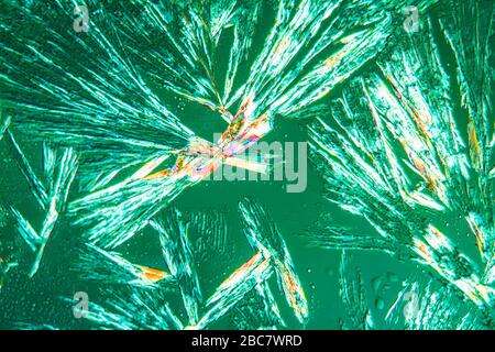 Cristalli di acido acetilsalicilico in luce polarizzata sotto il microskope 100x Foto Stock