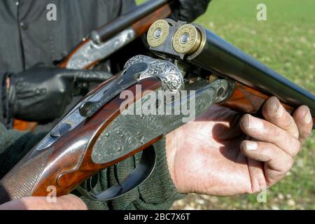 Classico vecchio fucile a canna da 12 di J. Purdey e figli con cartucce di Hull in un campo Wiltshire durante la stagione 2000. Foto Stock