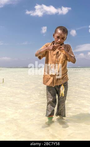 Ragazzo che cattura pesce in mare Foto Stock