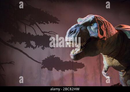 Tyrannosaurus rex, ricostruzione salvagente nel Museo di Storia Naturale, Londra, Regno Unito Foto Stock