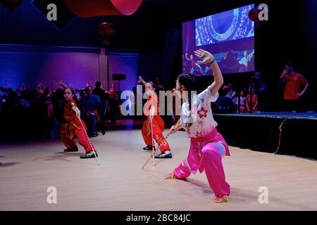 Spettacolo d'arte marziale Cinese al Festival della Luna di Mid Autumn al Toronto Chinese Community Center Foto Stock