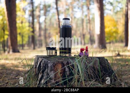 Bottiglia thermos con una tazza di tè e due caramelle su un moncone. Picnic nel parco in una giornata di autunno soleggiata Foto Stock