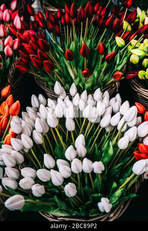 Colorati tulipani di primavera fiori in cesti di vimini. Foto Stock