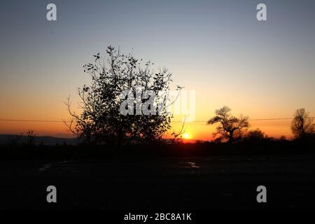 silhouette ad albero solitario su campo aperto al tramonto arancione vibrante . Albero solitario silhouette contro un tramonto ardente. Alberi luminosi di tramonto. Foto Stock