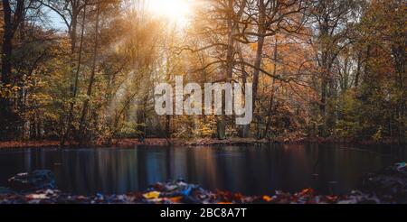 I raggi di sole autunnali appaiono attraverso i bei rami di albero e foglie in un parco cittadino con un laghetto di fronte alla foto. Ampio corto. Pano Foto Stock