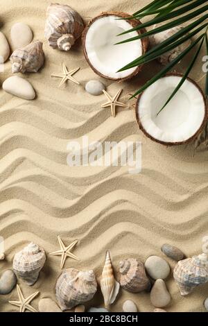 Conchiglie, stelle marine, cocco e palma su sfondo di sabbia marina, spazio per il testo Foto Stock