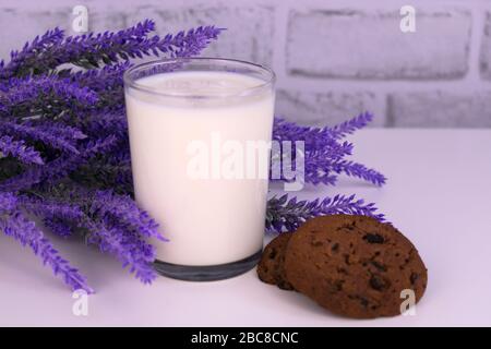 Un bicchiere di latte e biscotti al cioccolato su uno sfondo di fiori di lavanda su un tavolo. Foto Stock