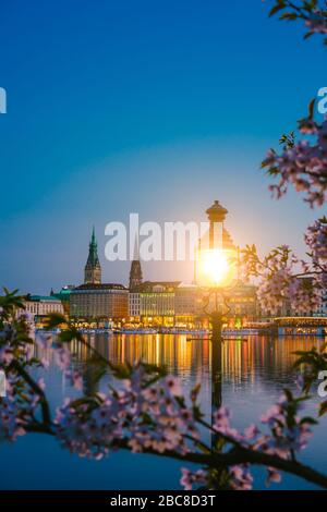 Burn lanterna tra rami di fiori di ciliegio fiori sulla calma e bella Alster fiume e Amburgo municipio - Rathaus in primavera, la sera twilig Foto Stock