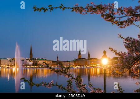 Burn lanterna tra rami di fiori di ciliegio fiori sulla calma e bella Alster fiume e Amburgo municipio - Rathaus in primavera, la sera twilig Foto Stock