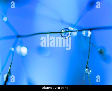 Una goccia di acqua con sfondo blu Foto Stock