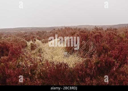 Ticknock escursione nebbia Foto Stock