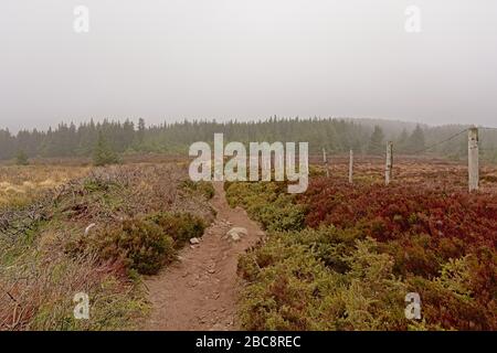 Ticknock escursione nebbia Foto Stock