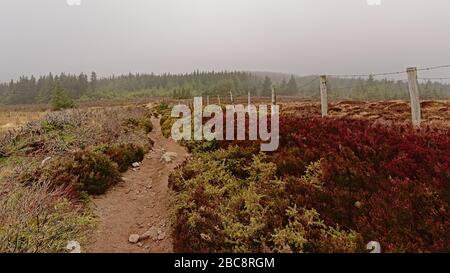 Ticknock escursione nebbia Foto Stock