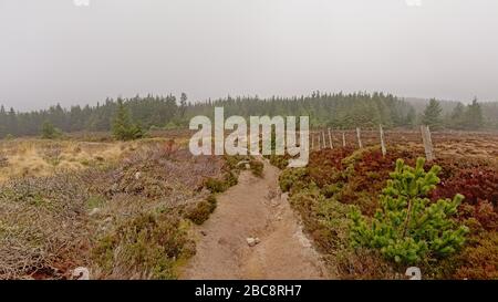 Ticknock escursione nebbia Foto Stock