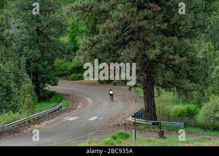 Un Lone Rider discende sapientemente una collina Foto Stock