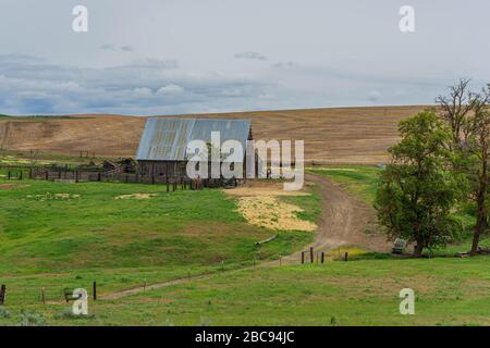Bella Rural Central Oregon, Stati Uniti Foto Stock