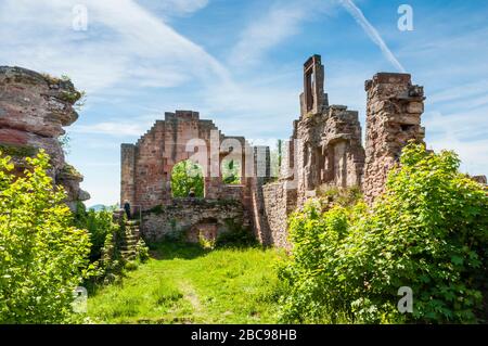 Rovine del castello di Neu-Scharfeneck, una collina fatta di arenaria colorata sulla strada del vino meridionale, area d'ingresso con cortile, sulla montagna di Kalkofen n Foto Stock