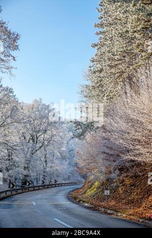 Foresta congelata al Monte Fruska Gora vicino a Novi Sad Foto Stock