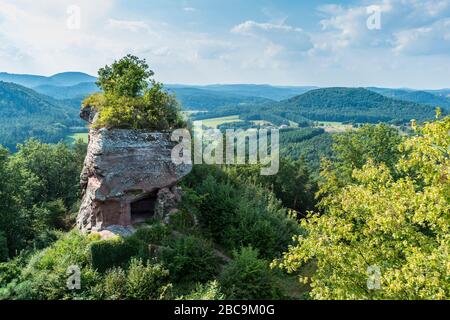 Drachenfels rovine del castello, un castello di roccia scolpito nella pietra, con 'dente dei denti', una torre simile alla testa di un drago, come una piattaforma di osservazione, colorato Foto Stock