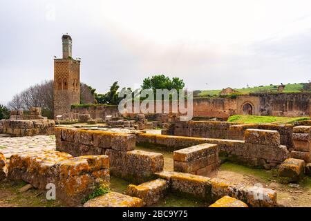 Rovine di una moschea a Chellah in Rabat Marocco Foto Stock