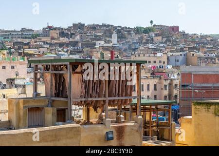 Pellami Essicazione su un tetto in una Tannery nella Medina di Fez Marocco Foto Stock