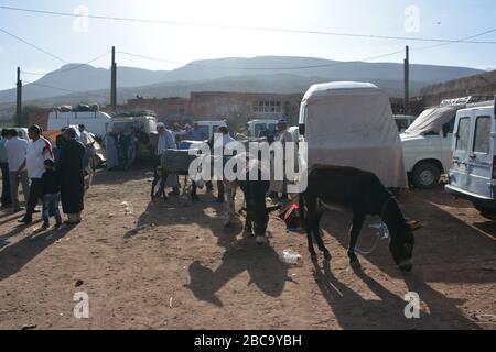 Asini in un mercato ad Asni, Marocco. Foto Stock