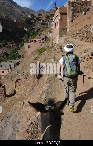 Una guida turistica marocchina conduce la strada su un trekking nella Ait Mizane / Valle Imlil nelle montagne dell'Alto Atlante, Marocco. Foto Stock