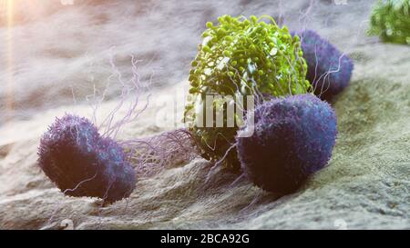 Cellule tumorali che vengono attaccate dai leucociti, illustrazione. Foto Stock