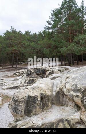 Germania, Sassonia-Anhalt, Blankenburg, vista delle grotte di sabbia negli Heers, un pezzo di foresta sotto il Castello di Regenstein. In primo piano un cuore era Foto Stock