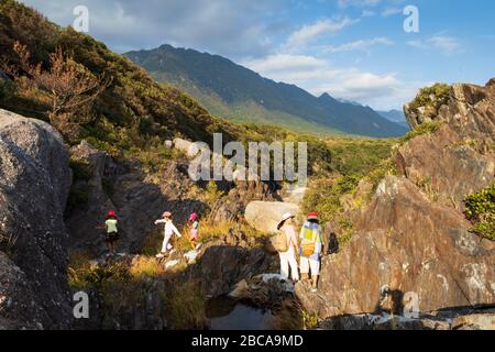 La vista delle scogliere di roccia a yakushima Giappone, luogo incredibile Foto Stock