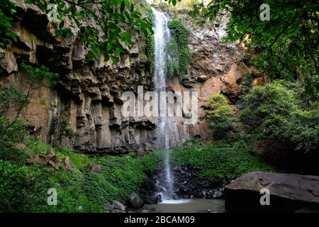 Le cascate Purling Brook sono una cascata impressionante all'interno della foresta pluviale di Gondwana, patrimonio mondiale dell'umanità, nel Parco Nazionale di Springbrook. Foto Stock