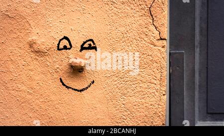 Graffiti nel quartiere Croix Rousse a Lione. Patrimonio dell'umanità dell'UNESCO dal 1998. Ex roccaforte della tessitura industriale della seta. Foto Stock
