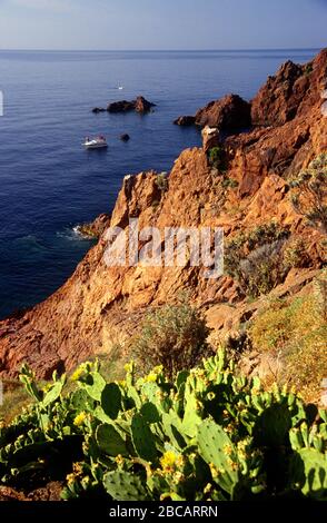 Le rocce rosse del cornicione d'oro Esterel Francia Provenza Foto Stock