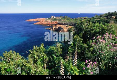 Le rocce rosse del cornicione d'oro Esterel Francia Provenza Foto Stock