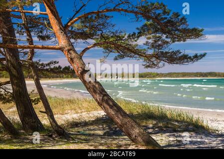 Svezia, Faro Island, Fifang, Vista Sulla Baia Di Ajkesvik Foto Stock