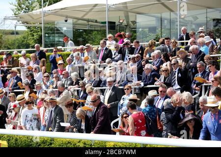 Viste generali dell'Ippodromo di Goodwood a Chichester, West Sussex, Regno Unito. Foto Stock