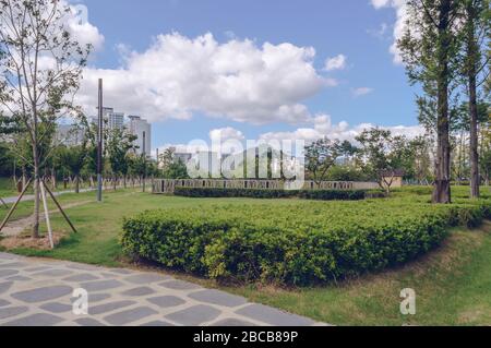 Busan Citizens Park in una giornata calda e soleggiata con soffici nuvole e paesaggio urbano sullo sfondo Foto Stock