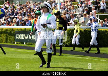 Viste generali dell'Ippodromo di Goodwood a Chichester, West Sussex, Regno Unito. Foto Stock