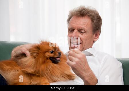 Felice uomo maturo che gioca con il suo cane pomerano su un divano in un soggiorno a casa Foto Stock