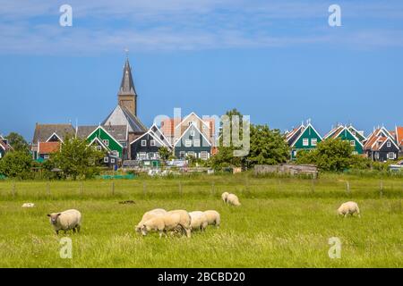 Tradizionale scenario olandese Village con case in legno colorate e chiesa con pecore in primo piano sull'isola di Marken in Ijsselmeer o per Foto Stock
