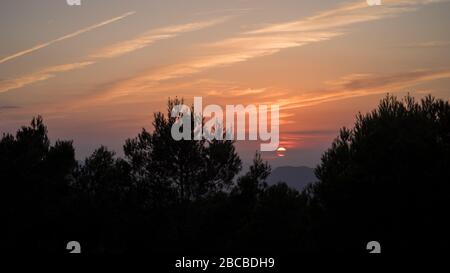 Un sole che tramonta in lontane nuvole basse appena sopra l'orizzonte, visto attraverso silhouette di alberi vicini con bel colore morbido nel cielo Foto Stock