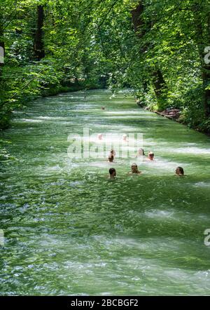 Nuoto nel fiume Eisbach, Giardino Inglese, Monaco, Baviera, Germania Foto Stock