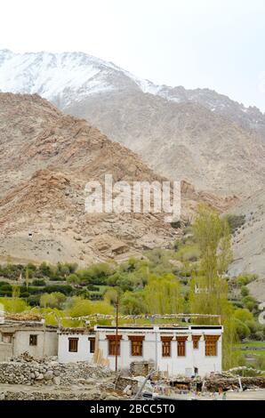 Case tradizionali di fango e legno, colture di riso e alberi di pioppo in una valle verde tra la catena montuosa secca di Ladakh, India Foto Stock