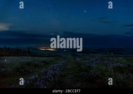 Paesaggio notturno con una strada sterrata in montagna, fiori di geranio in primo piano, luci del villaggio e tracce di fari da auto contro un bac Foto Stock