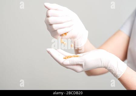 Fagioli di cera dura nelle mani del cosmetologist primo piano. Foto Stock