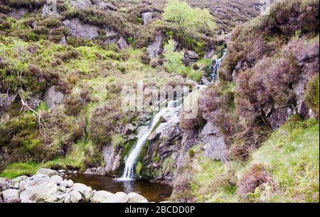 Ruscello che scende con cascate in un piccolo stagno sul pendio di montagna. Foto Stock